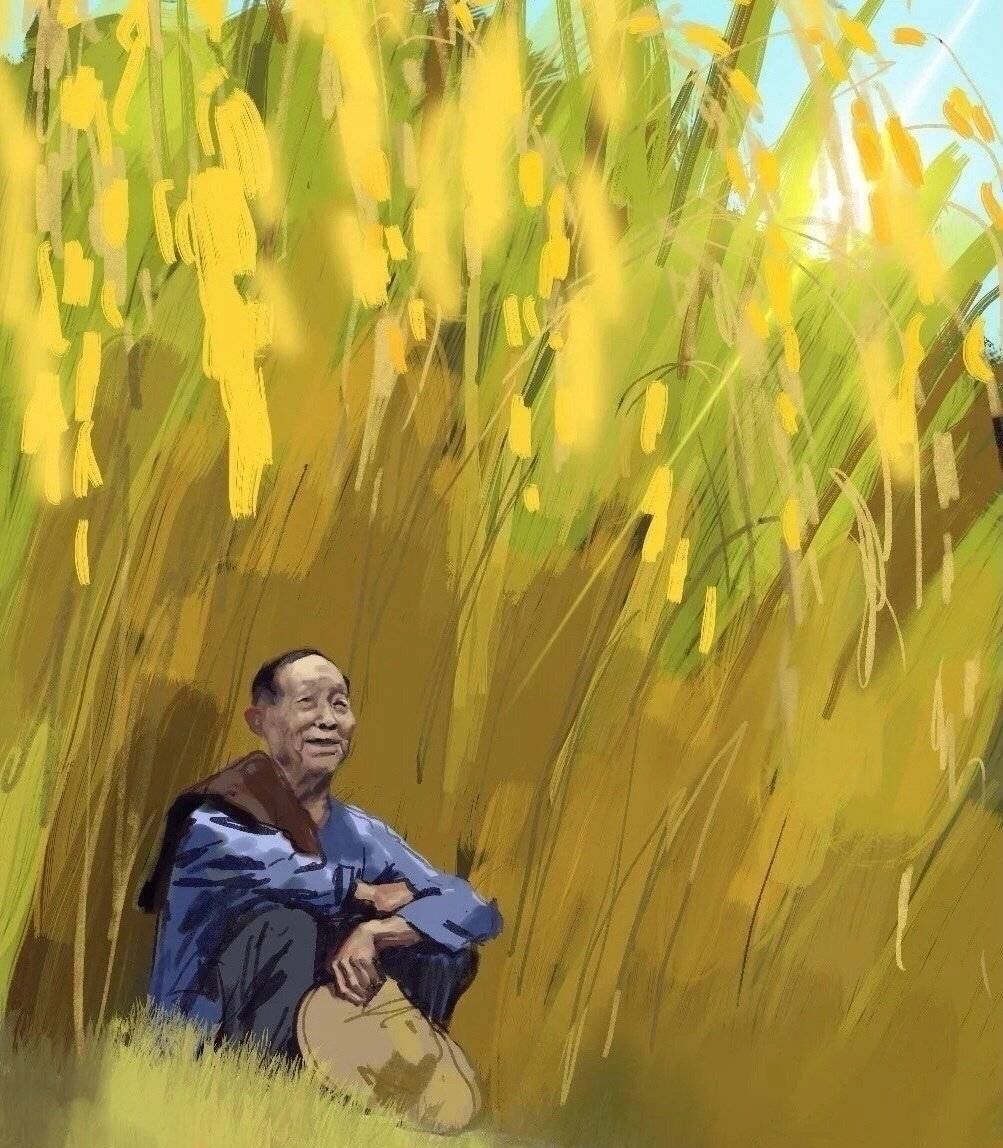 一“稻”之恩，以“干饭相报”(图8)